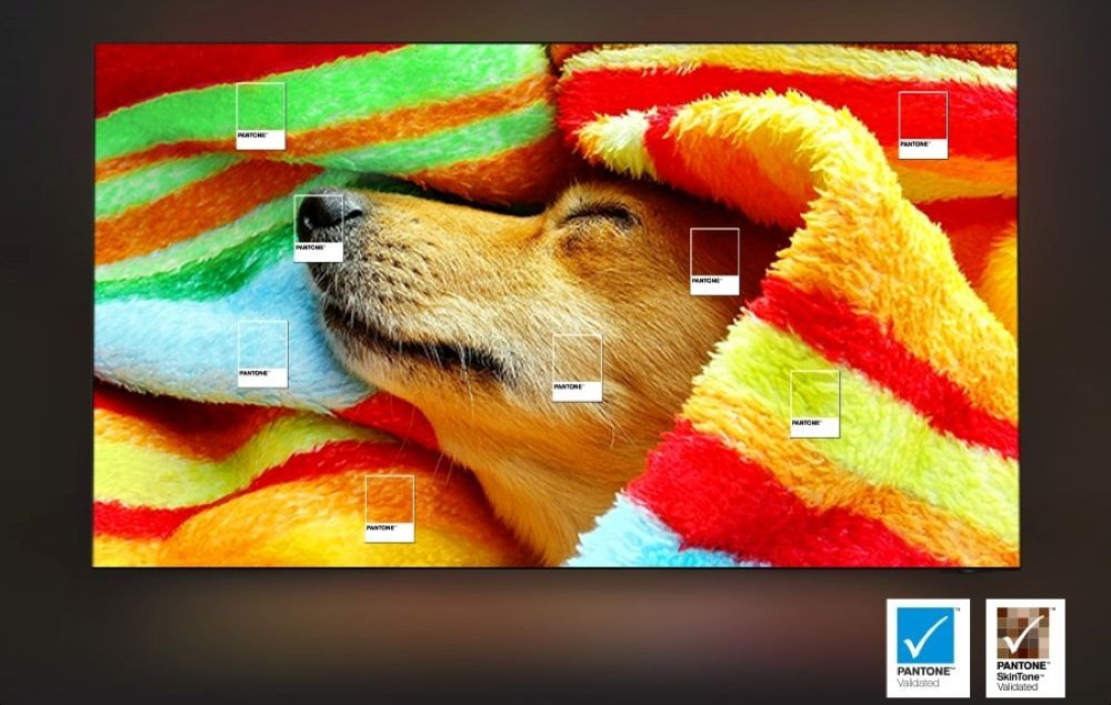 Телевизор Samsung QE50Q8FAAUXUA - 4