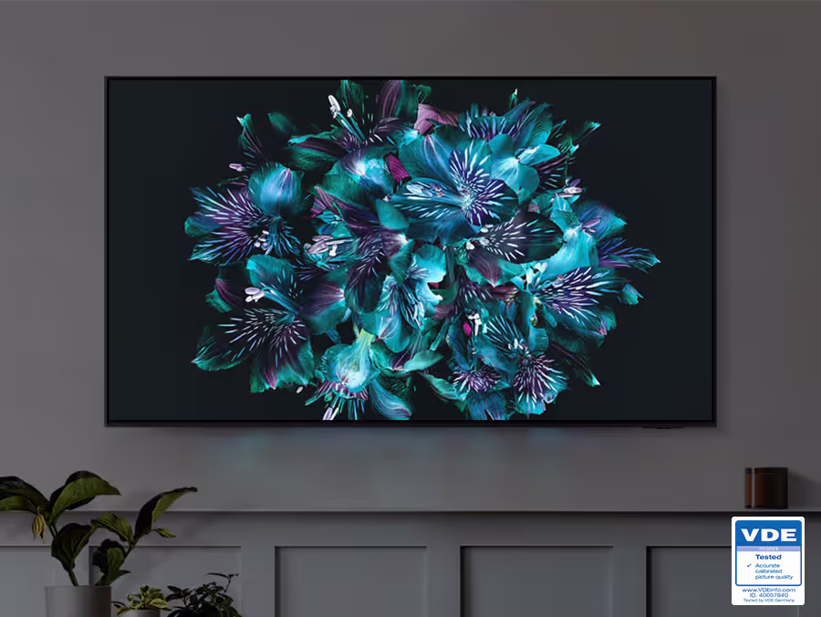Телевизор Samsung QE55S95FAUXUA - 2